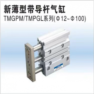 TMGPM TMGPL系列新薄型帶導桿氣缸